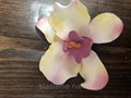Орхидея  большая - фото 6473