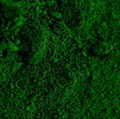 Краситель пыльца цветочная «Зеленый лист» 4 гр - фото 7964