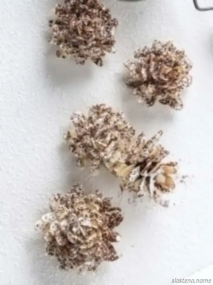 Рождественское полено «Красный бархат» — рецепт с нуля