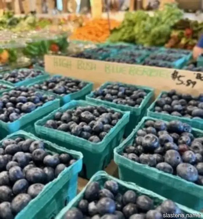 Summering in Maine - Bake from Scratch