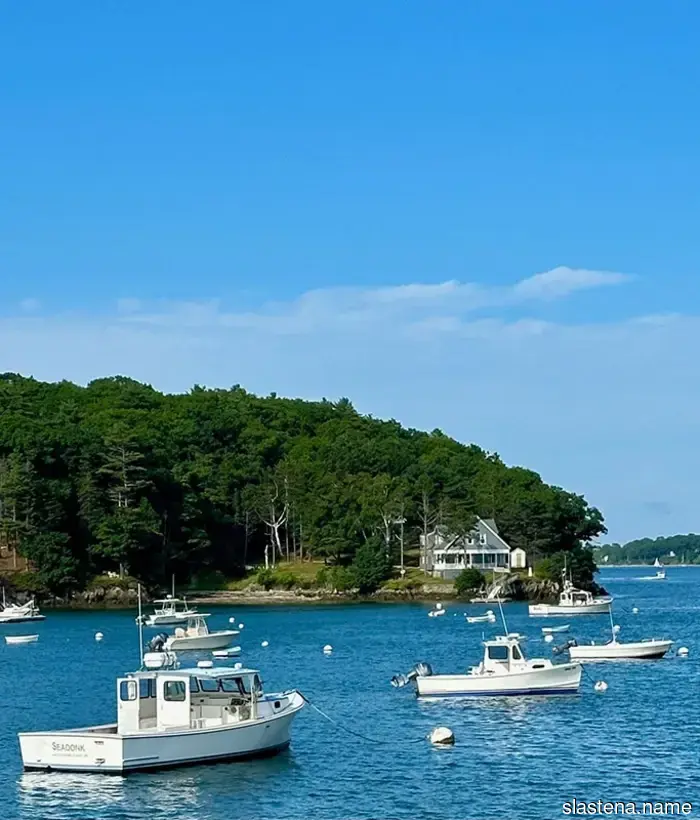 Summering in Maine - Bake from Scratch