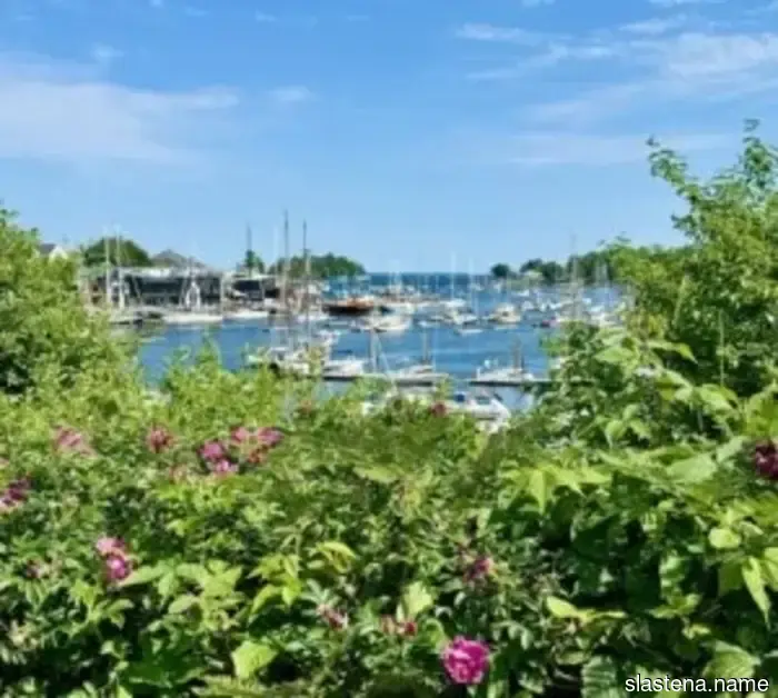 Summering in Maine - Bake from Scratch